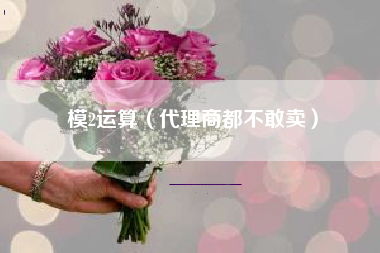模2运算（代理商都不敢卖）