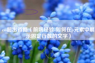 css超出省略（前端经验-如何在p元素中展示固定行数的文字）