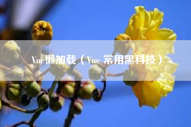 Vue懒加载（Vue 常用黑科技）