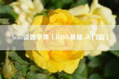 html设置字体（HTML基础-入门篇）