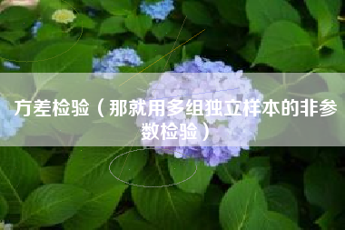 方差检验（那就用多组独立样本的非参数检验）