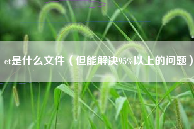 et是什么文件（但能解决95%以上的问题）