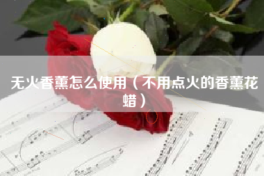 无火香薰怎么使用（不用点火的香薰花蜡）