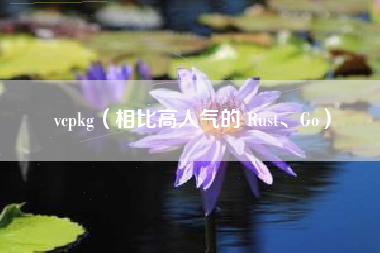 vcpkg（相比高人气的 Rust、Go）