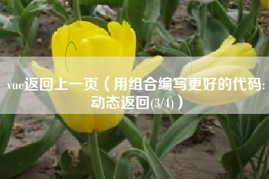 vue返回上一页（用组合编写更好的代码:动态返回(3/4)）