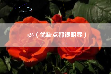 g26（优缺点都很明显）