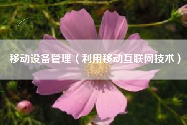 移动设备管理（利用移动互联网技术）