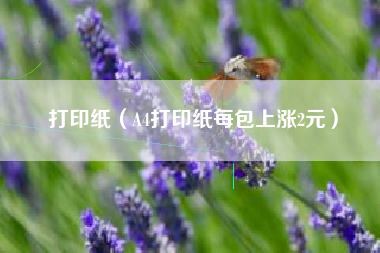 打印纸（A4打印纸每包上涨2元）