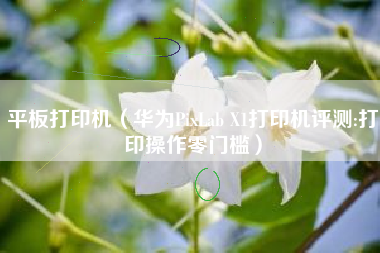 平板打印机（华为PixLab X1打印机评测:打印操作零门槛）