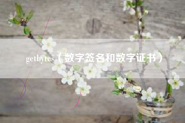 getbytes（数字签名和数字证书）