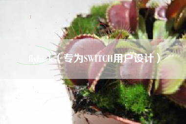 flyback（专为SWITCH用户设计）