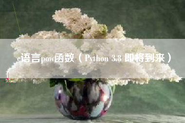 c语言pow函数（Python 3.8 即将到来）