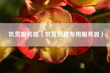 饥荒服务器（饥荒搭建专用服务器）