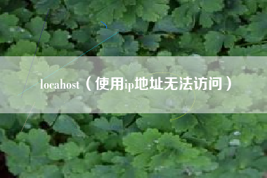 locahost（使用ip地址无法访问）