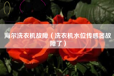 海尔洗衣机故障（洗衣机水位传感器故障了）