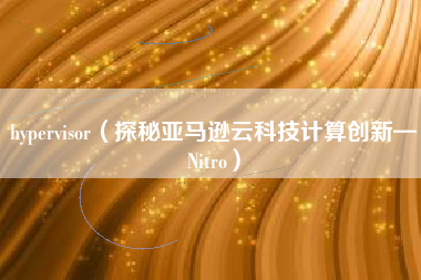 hypervisor（探秘亚马逊云科技计算创新—Nitro）