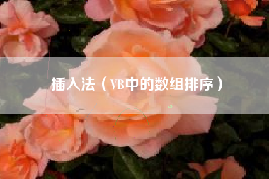 插入法（VB中的数组排序）