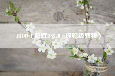 JBOD（群晖DS920+保姆级教程）