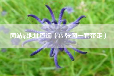 网站ip地址查询（45 张图一套带走）