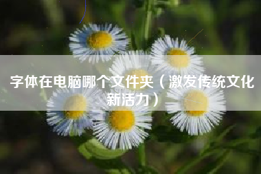 字体在电脑哪个文件夹（激发传统文化新活力）