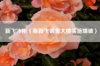新飞冰柜（原新飞销售大楼实施爆破）