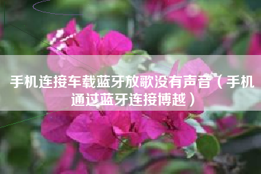 手机连接车载蓝牙放歌没有声音（手机通过蓝牙连接博越）
