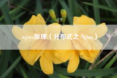 nginx原理（分布式之 Nginx）