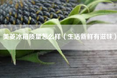 美菱冰箱质量怎么样（生活新鲜有滋味）