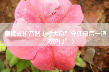 便携式扩音器（“大白”守住最后一道“防护门”）