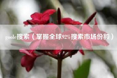 goole搜索（掌握全球92%搜索市场份额）