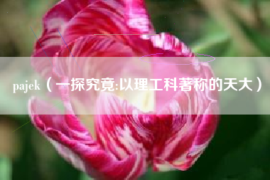 pajek（一探究竟:以理工科著称的天大）
