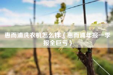 惠而浦洗衣机怎么样（惠而浦年报一季报全巨亏）