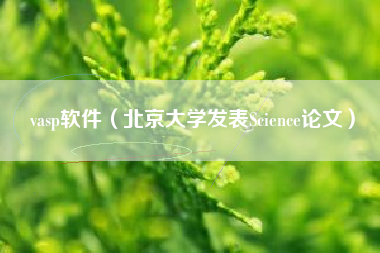 vasp软件（北京大学发表Science论文）