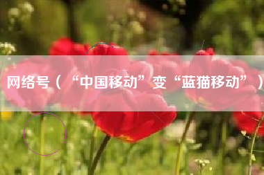 网络号（“中国移动”变“蓝猫移动”）