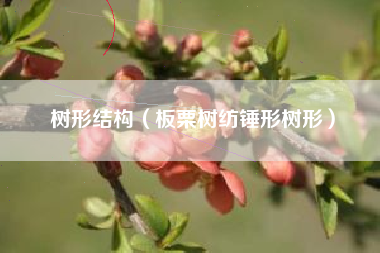 树形结构（板栗树纺锤形树形）