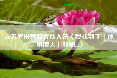 qq五笔拼音混合输入法(我找到了「体积庞大」的秘...)