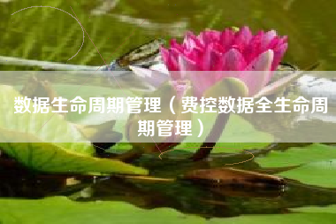 数据生命周期管理（费控数据全生命周期管理）