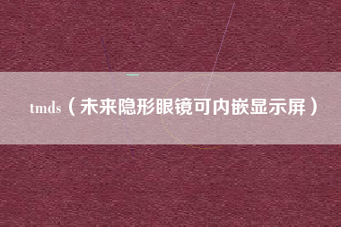 tmds（未来隐形眼镜可内嵌显示屏）