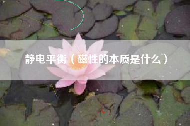 静电平衡（磁性的本质是什么）