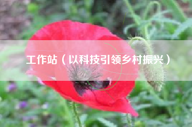 工作站（以科技引领乡村振兴）