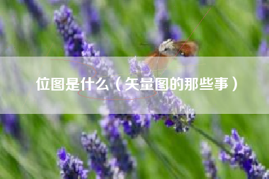 位图是什么（矢量图的那些事）