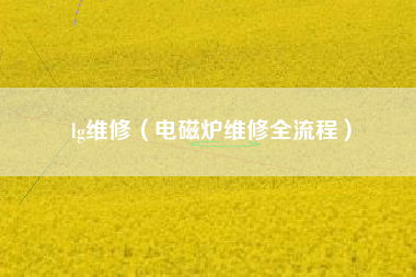 lg维修（电磁炉维修全流程）