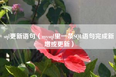 sql更新语句（mysql里一条SQL语句完成新增或更新）