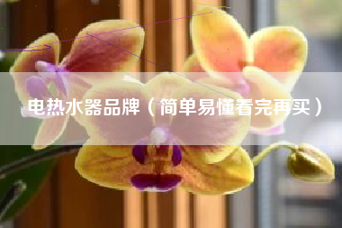 电热水器品牌（简单易懂看完再买）