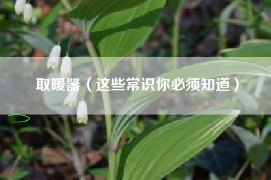取暖器（这些常识你必须知道）