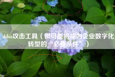 ddos攻击工具（很可能将成为企业数字化转型的“必要条件”）