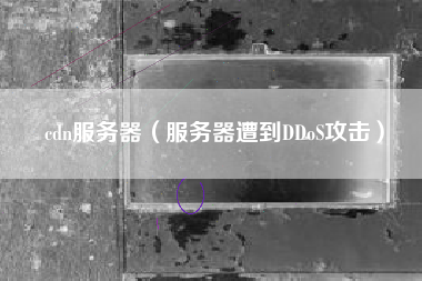 cdn服务器（服务器遭到DDoS攻击）
