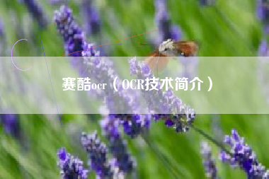 赛酷ocr（OCR技术简介）