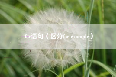 for语句（区分for example）