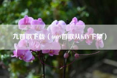 九首歌下载（6609首歌从KTV下架）
